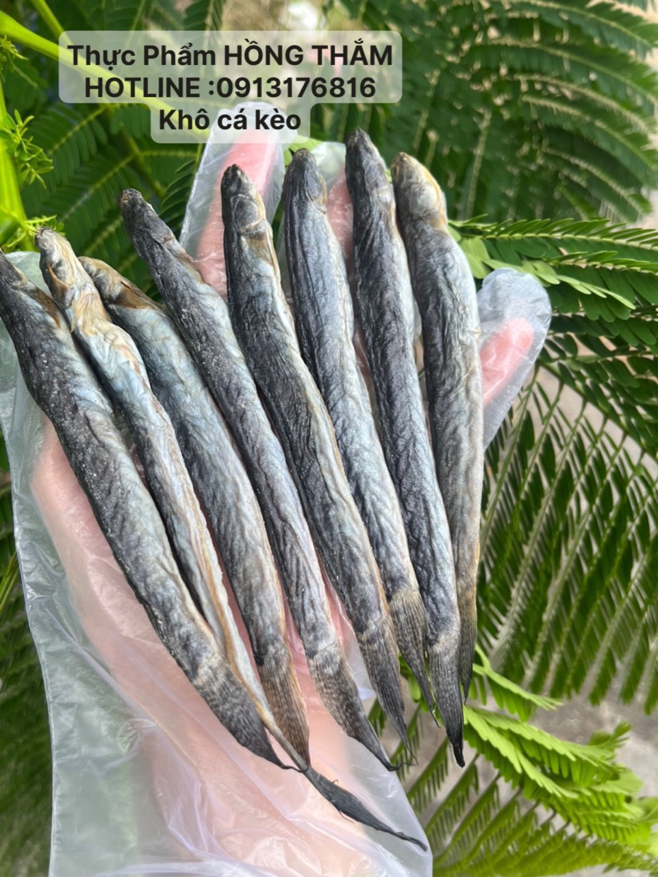  Khô cá kèo lạc loại 1 